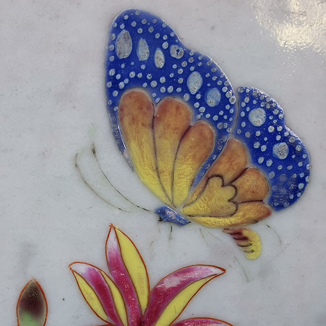 Butterfly and Flowers