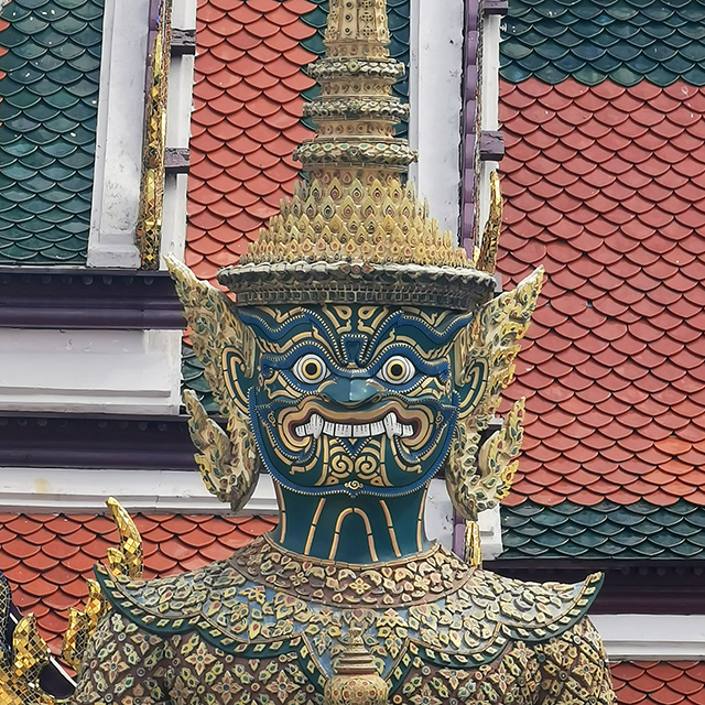 Yak: Intorachit