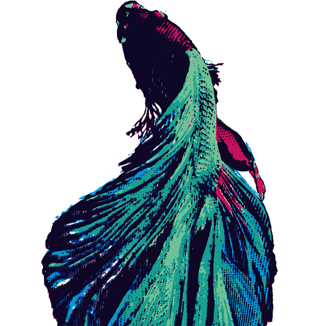 Thai Form: Siamese fighting fish_2