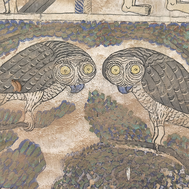 Hup Taem: owls