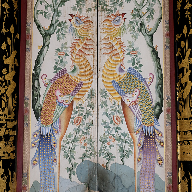 Chinese phoenix