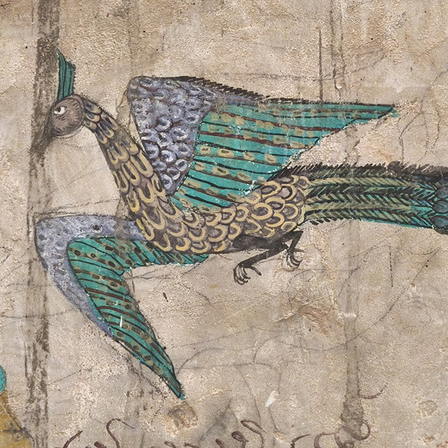 Hup Taem: Peacock